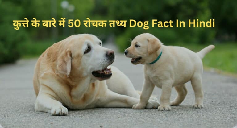 कुत्ते के बारे में 50 रोचक तथ्य | Dog Fact In Hindi