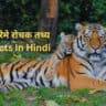 बाघ के बारेमे 46 रोचक तथ्य | Tiger Facts In Hindi
