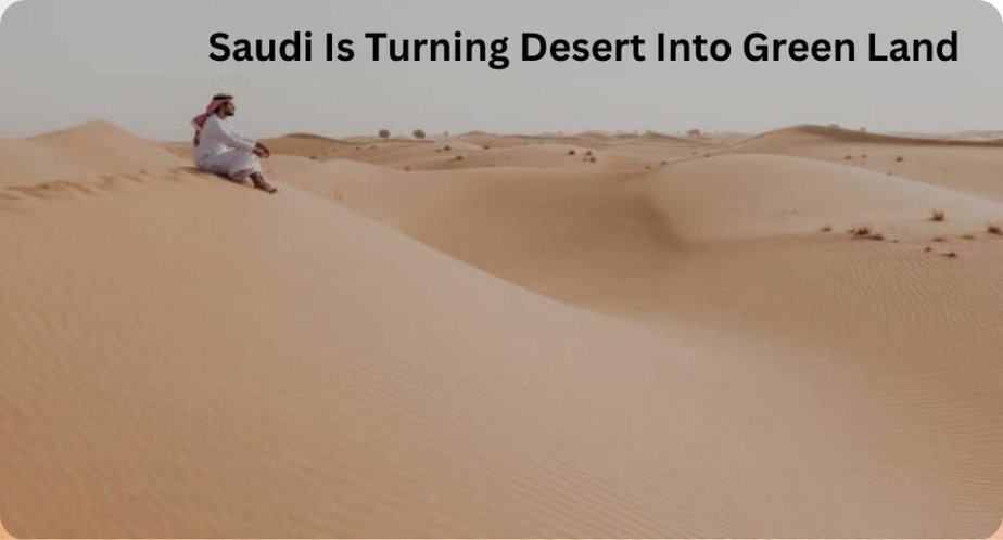सऊदी रेगिस्तान की हरिभूमि के 19 रोचक तथ्य | Saudi Is Turning Desert Into Green Land