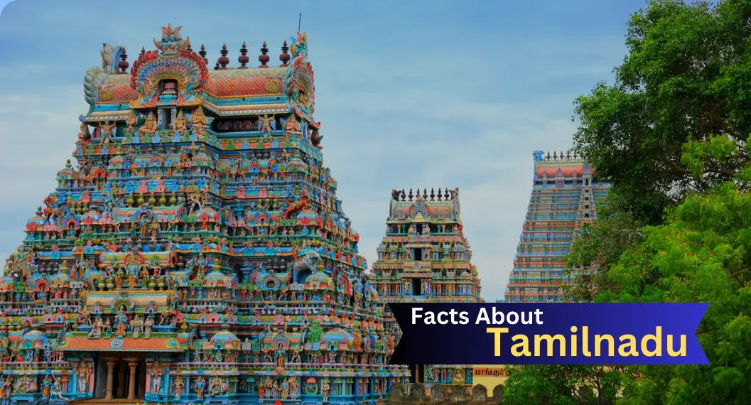तमिलनाडु के बारे में रोचक तथ्य | Tamil Nadu Facts In Hindi